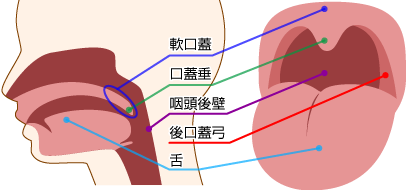 男女ともに快感を得られる『喉奥フェラ』のやり方！イラマとの違い・動画も紹介！｜駅ちか！風俗雑記帳