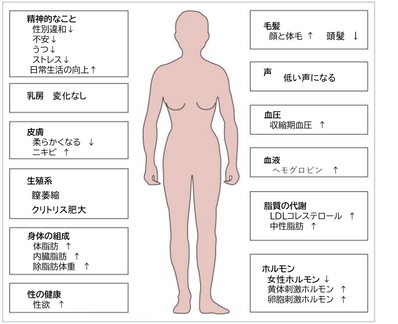 男のクリトリス？今ならめっちゃお買得！ | 株式会社OMECO