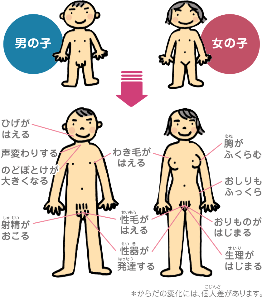 女性は性的に興奮すると胸が最大25%ふくらむ!? 変な知識に詳しい彼女 - 今日のおすすめ｜講談社