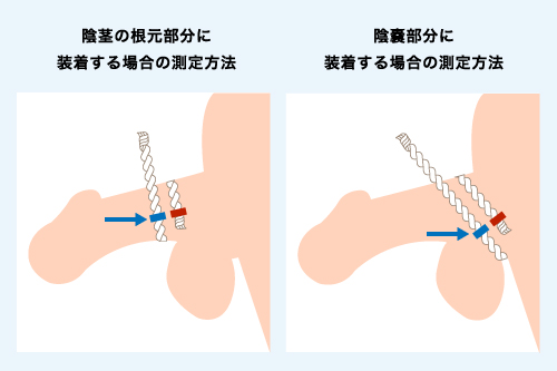 陰茎増大して実際に何センチ伸ばせるのか？その方法と真偽について –メンズクリニック研究会-包茎