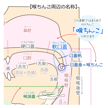 あの『ペニスの形』には意味があるの？ちんこの亀頭があの形の理由【ラブコスメ】