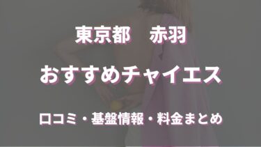 枚方・茨木の撮影可風俗ランキング｜駅ちか！人気ランキング