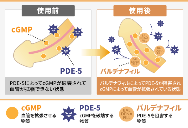 直筆体験談１５０件｜包茎の手術や治療は認定専門医に！[東京・大阪]