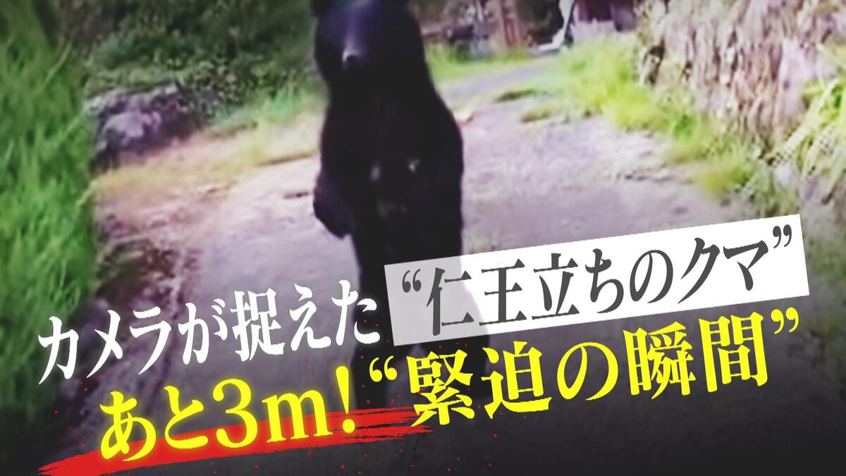 クマにあったらどうするか ――アイヌ民族最後の狩人 姉崎等』｜感想・レビュー・試し読み