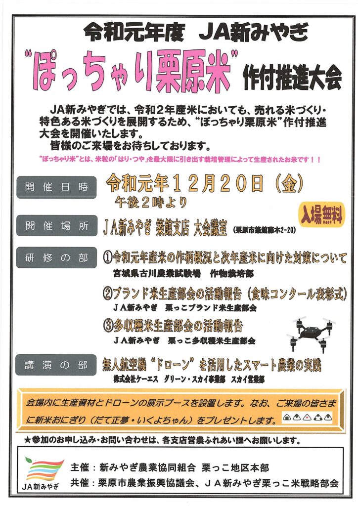 駿河屋 -<中古>ねこ ぽっちゃりほにゃぐるみ ほにゃぐるみ～ずシリーズ 「すみっコぐらし」