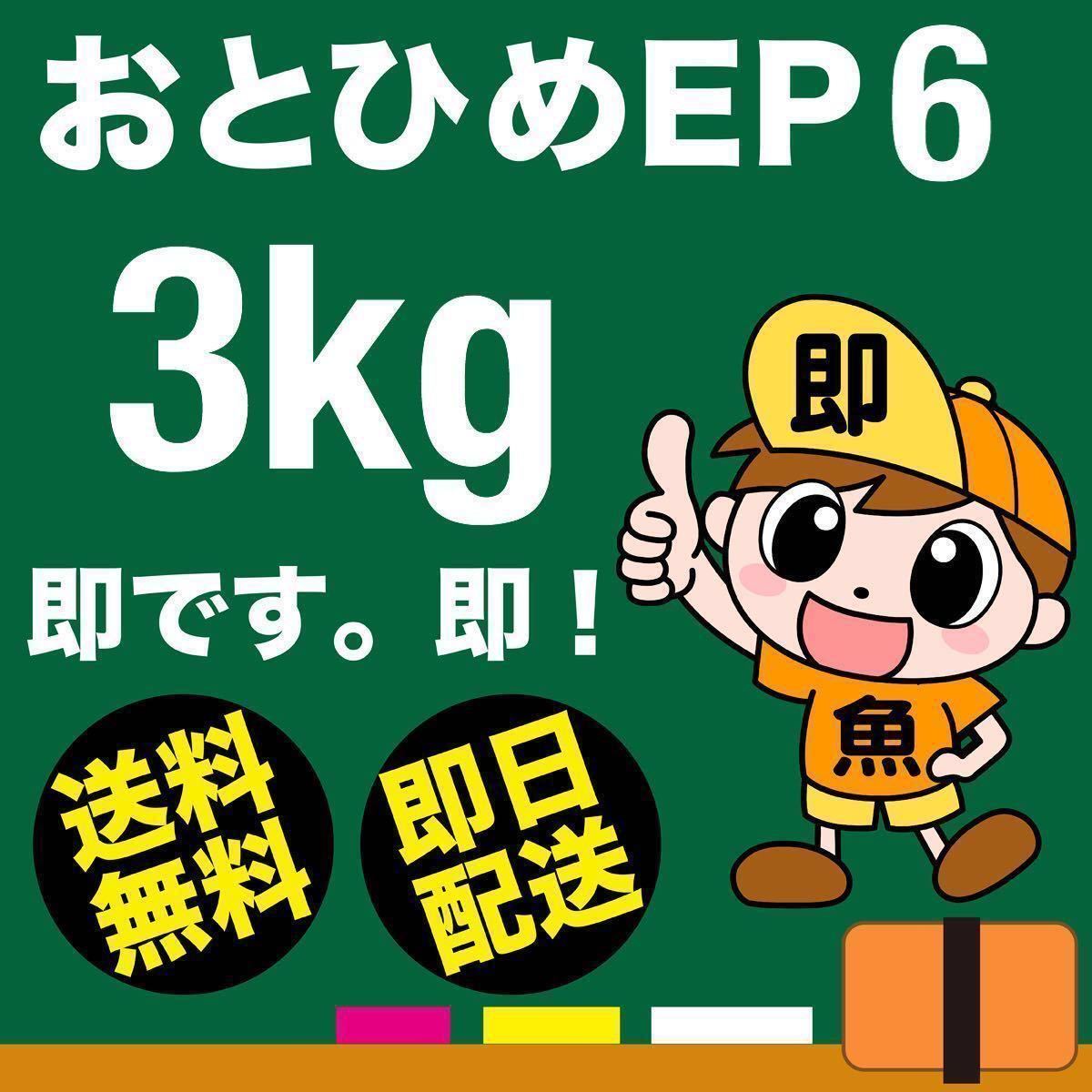 沖縄県の今すぐ遊べる風俗嬢｜シティヘブンネット