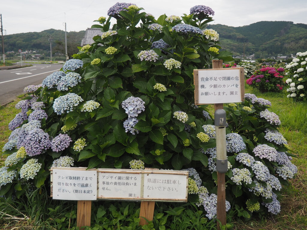 広島県/福山キャンパス｜中国・四国｜おおぞら高等学院 - おおぞら高校