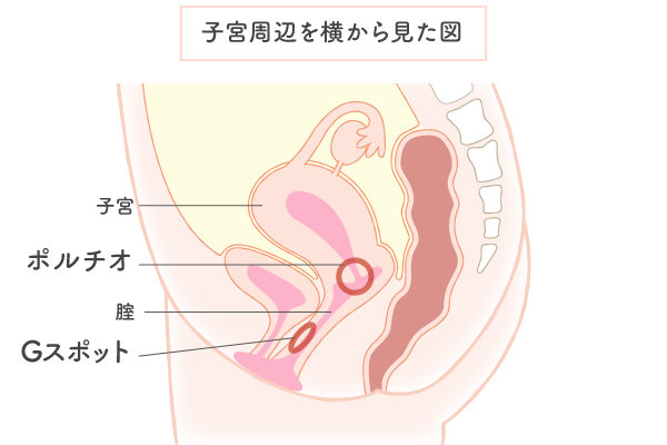 女性が中イキしやすくなる方法やコツからできない原因まで解説 | コラム一覧｜  東京の婦人科形成・小陰唇縮小・婦人科形成（女性器形成）・包茎手術・膣ヒアルロン酸クリニック