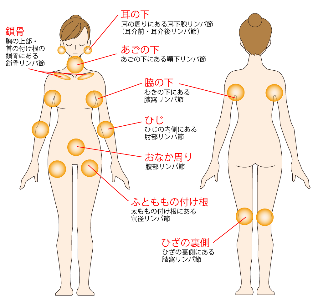 マッサージ ホワイトエステパウダー 業務用 500g