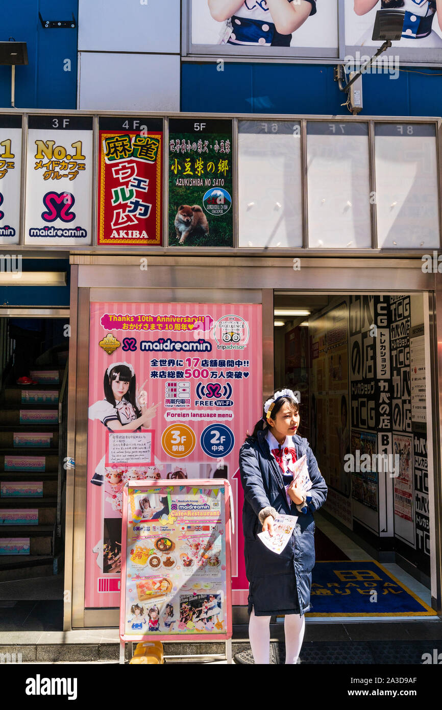 maidreamin 'AKIHABARA LIVE