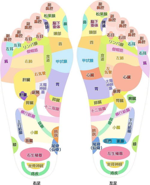 足つぼ（反射区）第１１回 ～小腸～