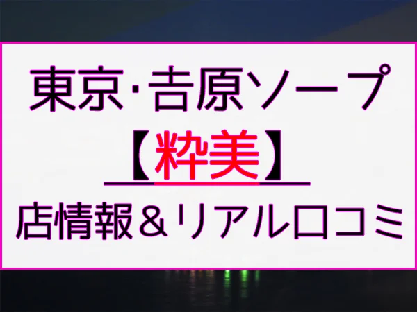 本番/NN/NS体験談！東京の高級ソープ4店を全55店舗から厳選！【2024年】 | Trip-Partner[トリップパートナー]