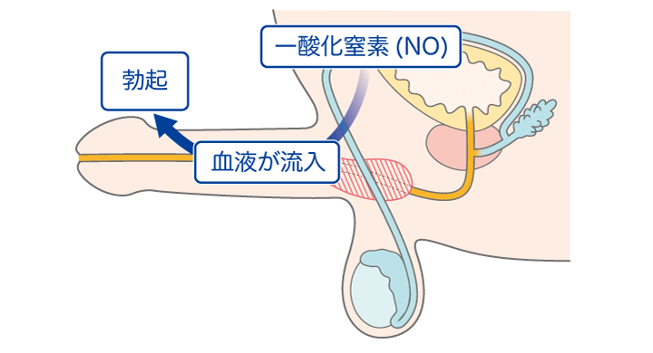 ねとられNTRシリーズ 処方された薬を服用したのに夫が勃起しない！「インチキ薬よ！」ED治療薬を病院に猛クレームした妻がフル勃起 した医者に寝取られた話「インチキではありませんよ奥さん、ほらこんなに勃起してますよ」「あぁ凄い大きいぃ固いぃ」 -