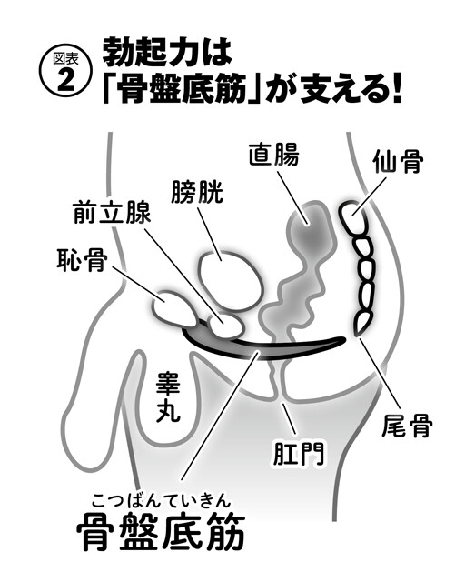 射精を我慢できない人に！正しく我慢する方法やコツ、注意点などを紹介｜風じゃマガジン