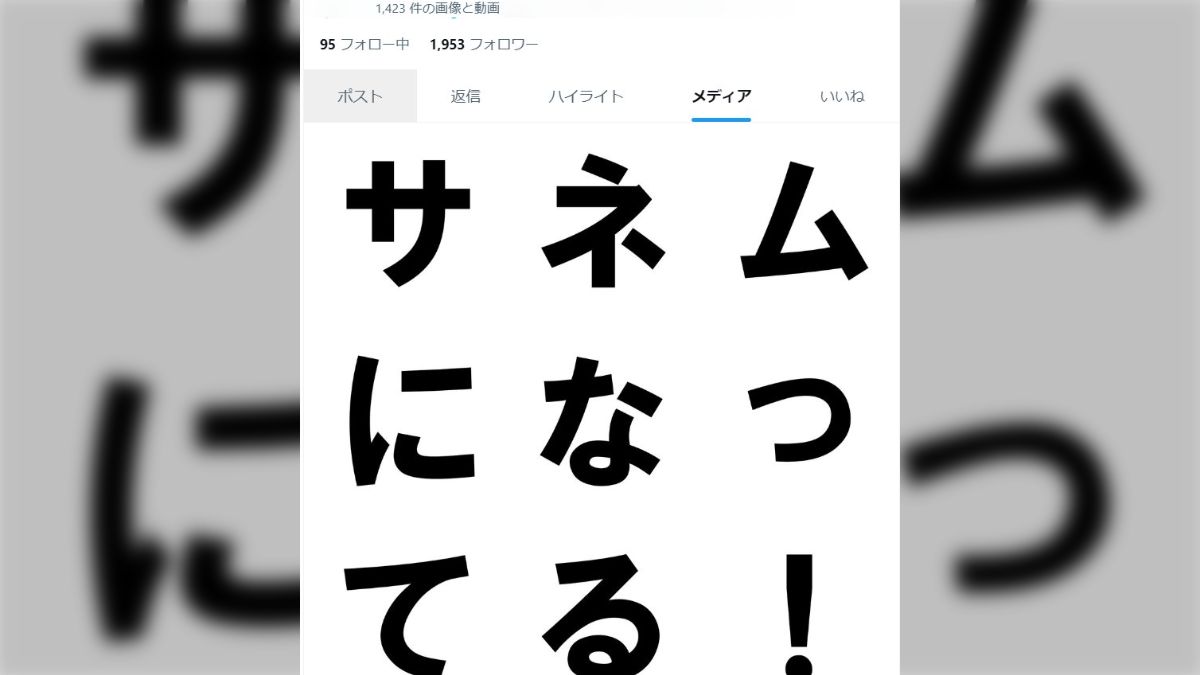 116万人調査】Twitter（現X）プロフィールの区切り文字は「/」と「|」どっちが人気？ - クレイジースタディ（クレスタ）