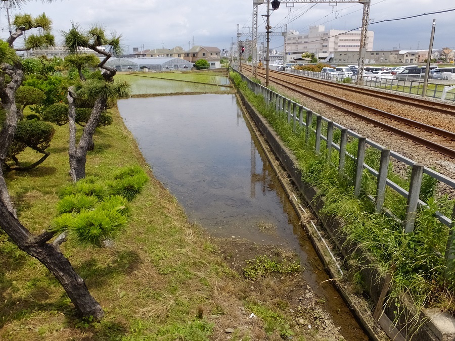 厚木市】船子にある246号線のちょこっとトンネルは古墳を守るためだった！（その） - エキスパート - Yahoo!ニュース