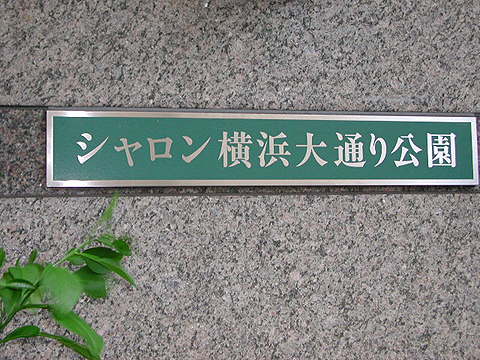 さまざまな品種のバラが開花「シャロンのばら園」＠横浜市栄区野七里一丁目 野七里第一公園前 – 神奈川・東京多摩のご近所情報