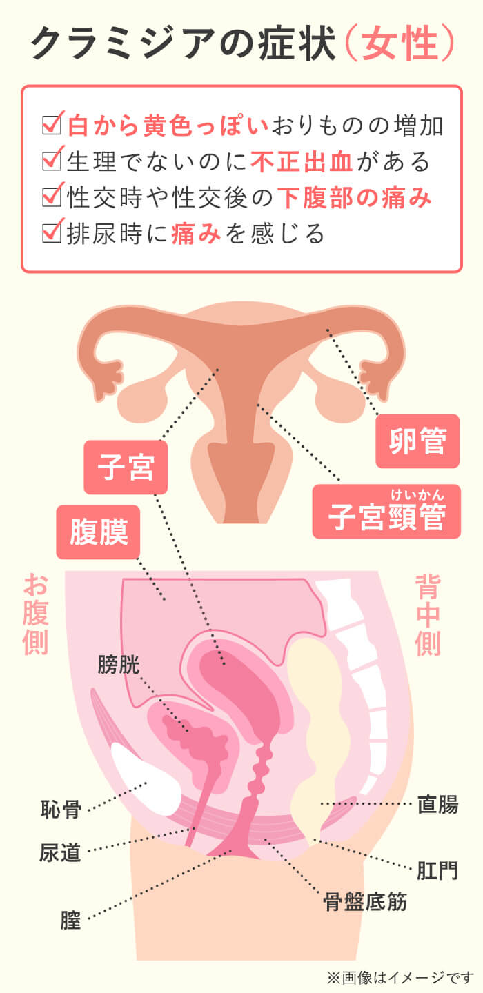 クンニでも性病に！デンタルダムで予防！ – メンズ形成外科 | 青山セレス&船橋中央クリニック