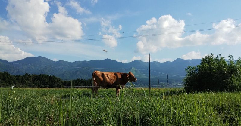 感度操作アプリで連続イキ地獄！俺を底辺呼ばわりする女どもに復讐できるアプリを使ってみたぞッ！（hcom）の通販・購入はメロンブックス | メロンブックス