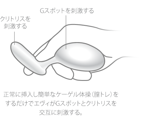 エネマグラで前立腺マッサージしてドライオーガズムを達成する方法 | シンデレラグループ公式サイト