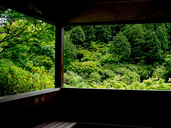 雨の日に京都で浴衣・着物レンタルをするときの注意点と【おすすめ観光スポット5選】｜特集・コラム｜着物や浴衣のレンタルは京都のレンタル着物岡本