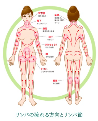 楽にヤセたいなら、リンパを流す！ 脂肪が燃える「リンパの魔法」 ｜ からだにいいこと