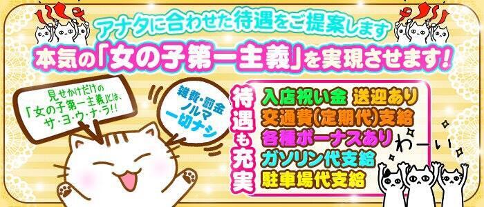 木更津・君津のぽっちゃり系デリヘルランキング｜駅ちか！人気ランキング