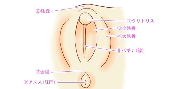 【完全版】女性が最も感じやすい性感帯の刺激方法３選