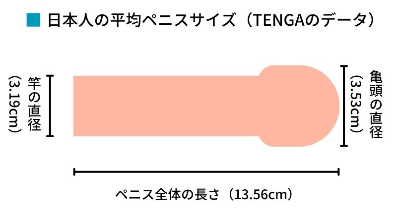 日本人平均は13.56cm？スマホで自分に合ったTENGAが確認できる - 週刊アスキー