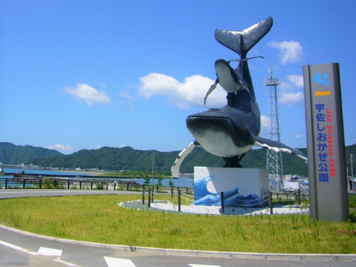 高知県】日帰りで楽しむ！おすすめの自然・絶景スポット