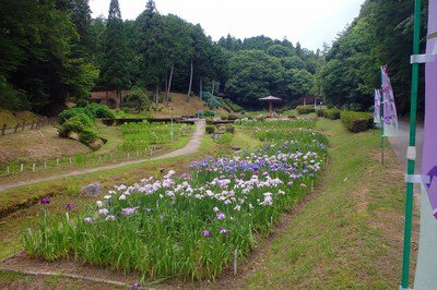 IRIS(アイリス) 2階(賃貸マンション)[物件番号:4150312001](岐阜県岐阜市北島９丁目)【ニッショー.jp】