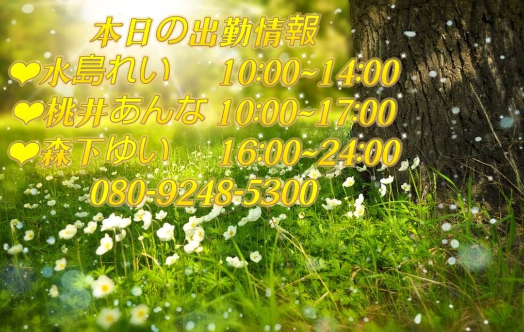 熊本の裏オプ本番ありメンズエステ一覧。抜き情報や基盤/円盤の口コミも満載。 | メンズエログ