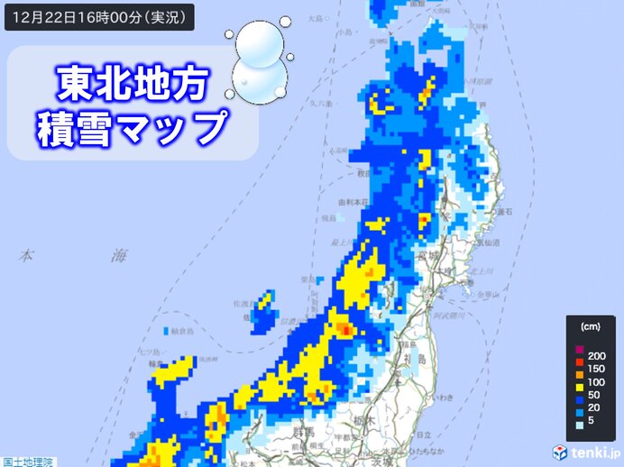 今週の日曜日、いわきファミリーフェスへ土日は天気にも恵まれ、イベント日和例年は、7月からの冷たいパスタも一足早く、数量限定で（2024.05.17）  |