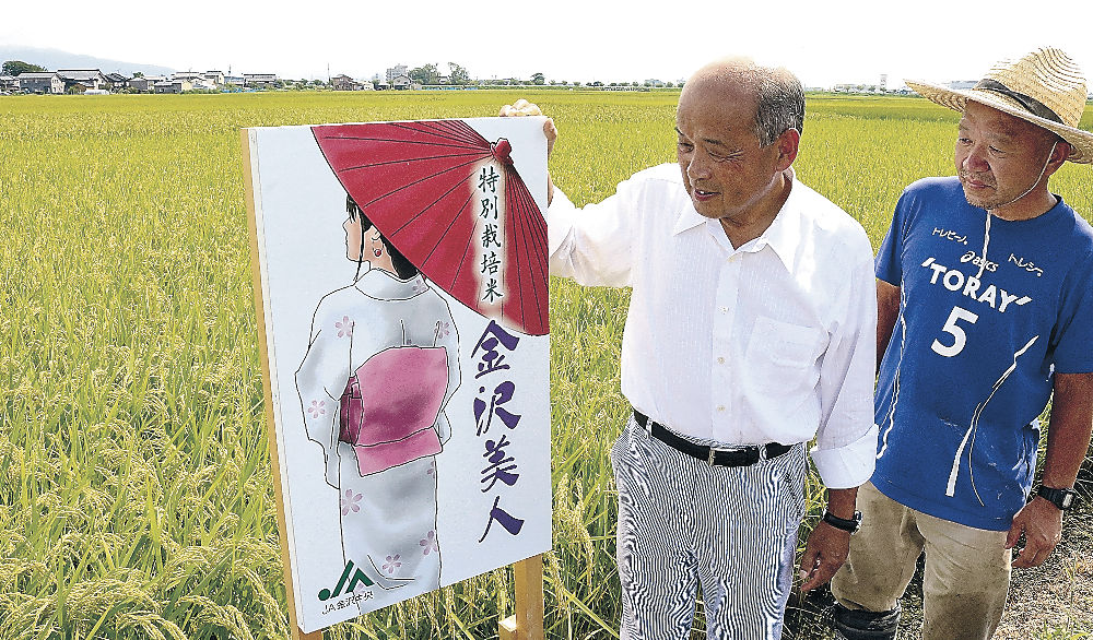 北陸限定 いちじくビール！｜株式会社 家元