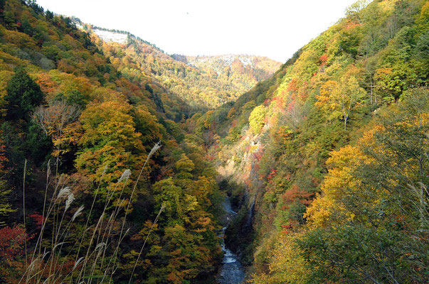 ぷち登山 - 山形県の山