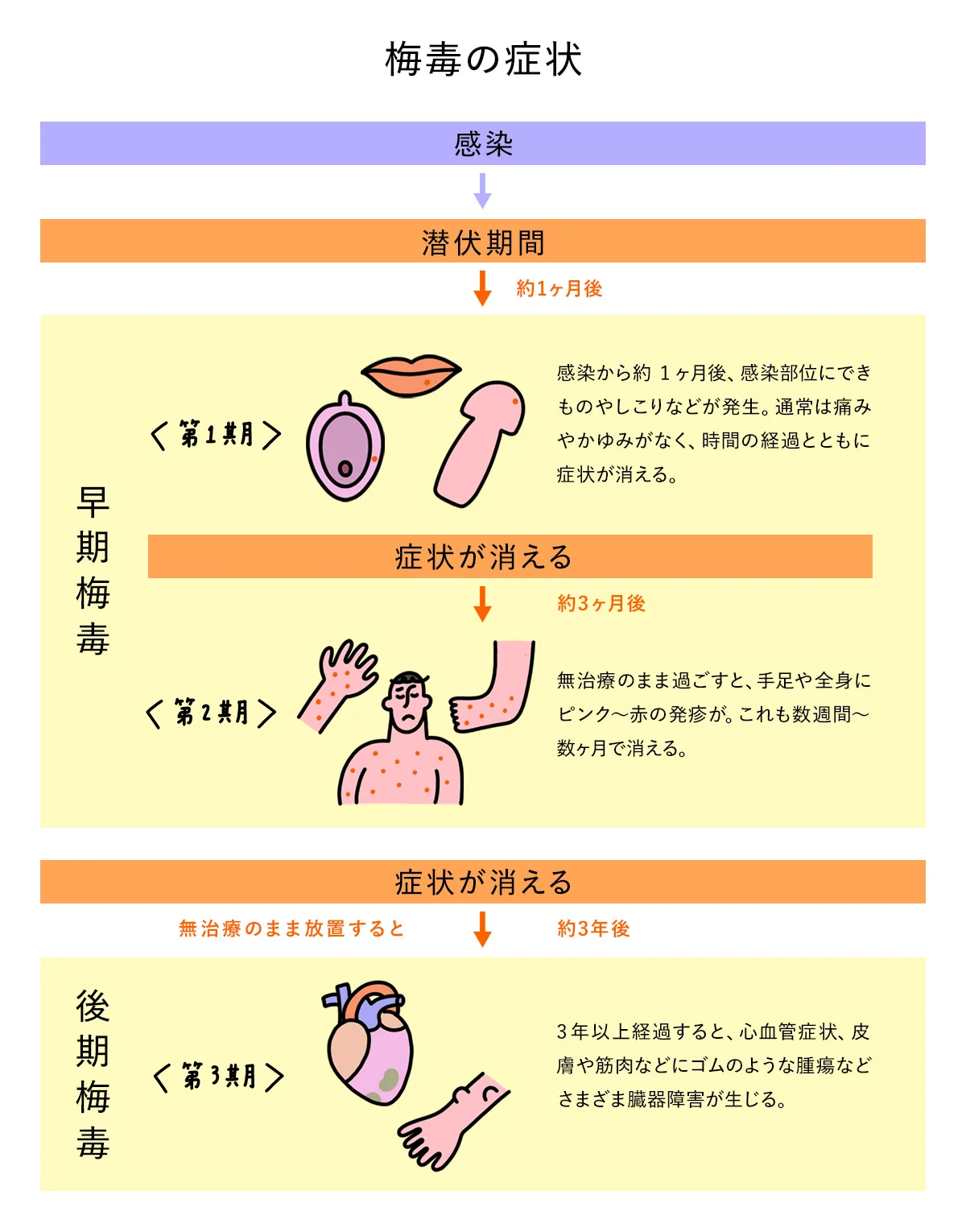 風俗エステで楽しめる「ゴムフェラ」を徹底解説！｜エステの達人マガジン