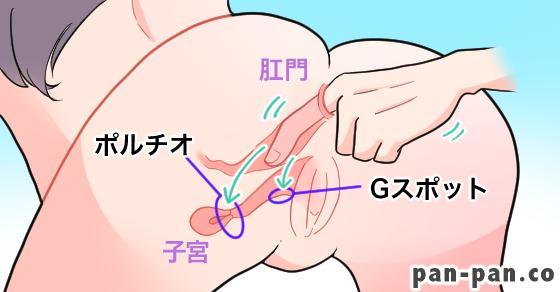 ドS嬢の直伝！イケるアナニーのやり方とコツを紹介！【初心者向け】 - エムオグラシ