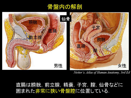 アナルセックスをするしないは人それぞれ、ケツ感じるかどうかはゲイ関係ないし | 男が欲しくて三千里-男日照りでカラッカラさ！