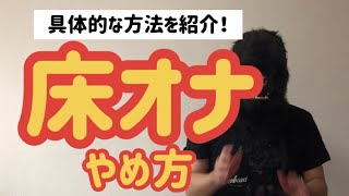 床オナは気持ちいいけど危険！男女別のやり方や弊害、やめる方法を解説｜風じゃマガジン