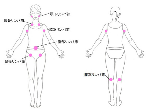 マッサージにコロコロを使ってリンパを流す！！| 恵比寿・広尾のマッサージ「スローライフ」