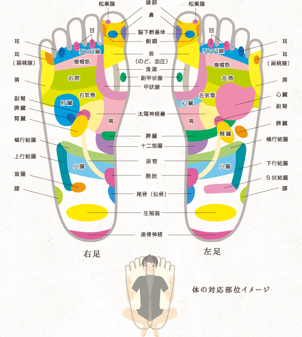 鶴富整体