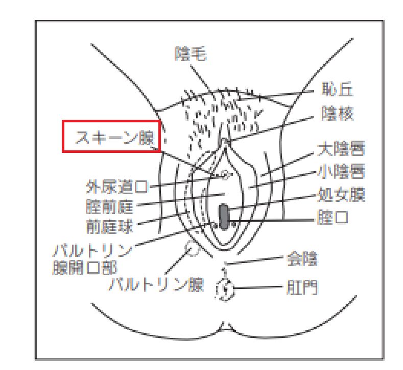 女性用覚醒カプセル 潮吹 /