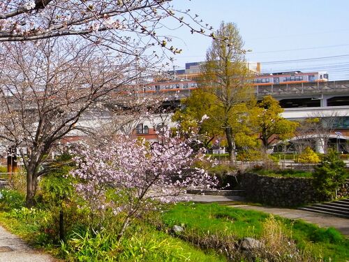 浜松から沼津への電車の旅 | ✨ゆーのenjoy