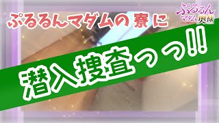 店舗紹介動画一覧 ぷるるんマダム難波店 -