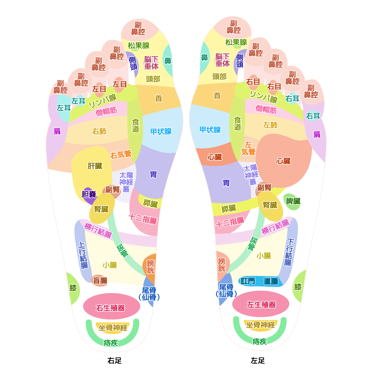 足の健康グッズをプレゼント｜足裏をマッサージする足つぼのおすすめ人気ギフトランキング｜ocruyo(オクルヨ)