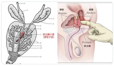 気持ちいいアナルセックスのやり方とは？女性の体験談（感想）や開発のコツ等も紹介【快感スタイル】