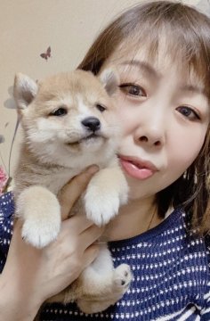 犬が自分の足を舐める原因は？病院に連れて行くべき症状と対処法について解説【獣医師監修】|ワンクォール