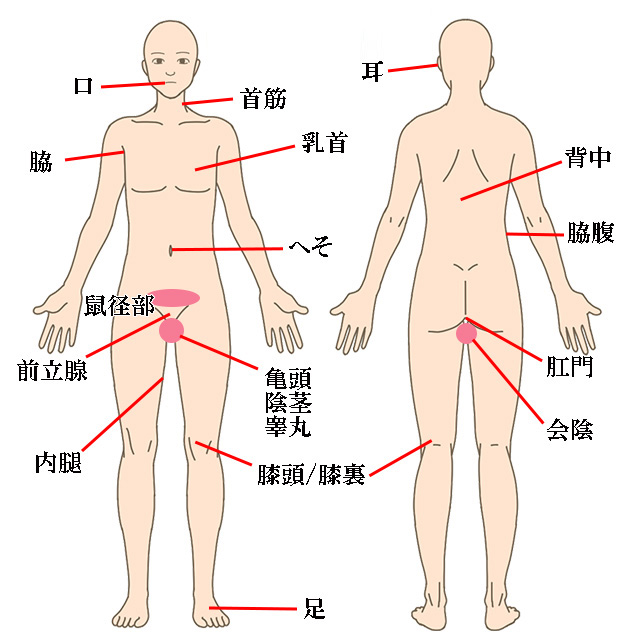 男性の性感帯。シルエットとマーク。ベクターイラスト」のベクター画像素材（ロイヤリティフリー） 2233106957 |