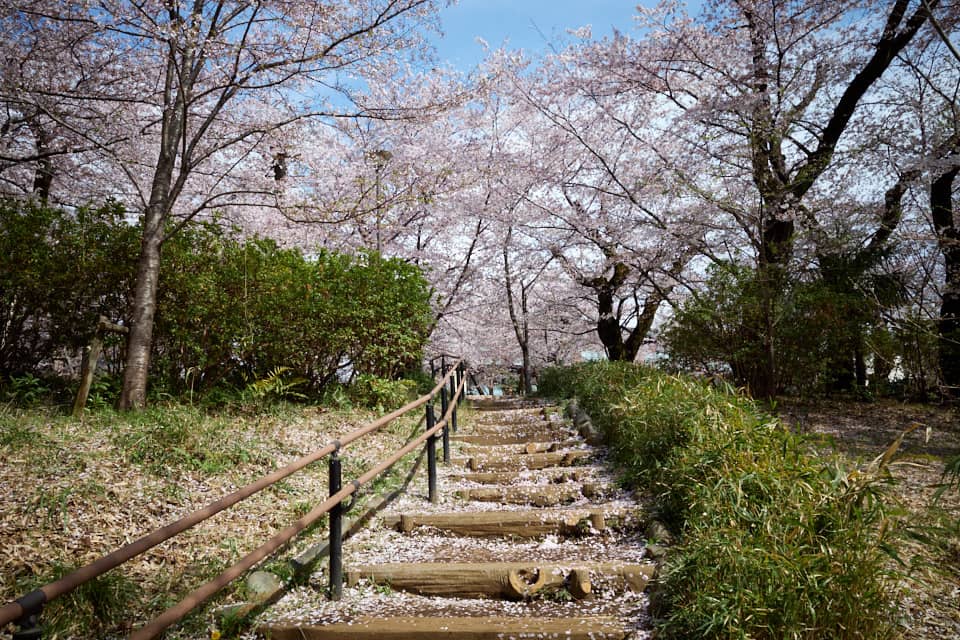 西行法師終焉の地 弘川寺 ・ 桜山: こころはコロコロ日録