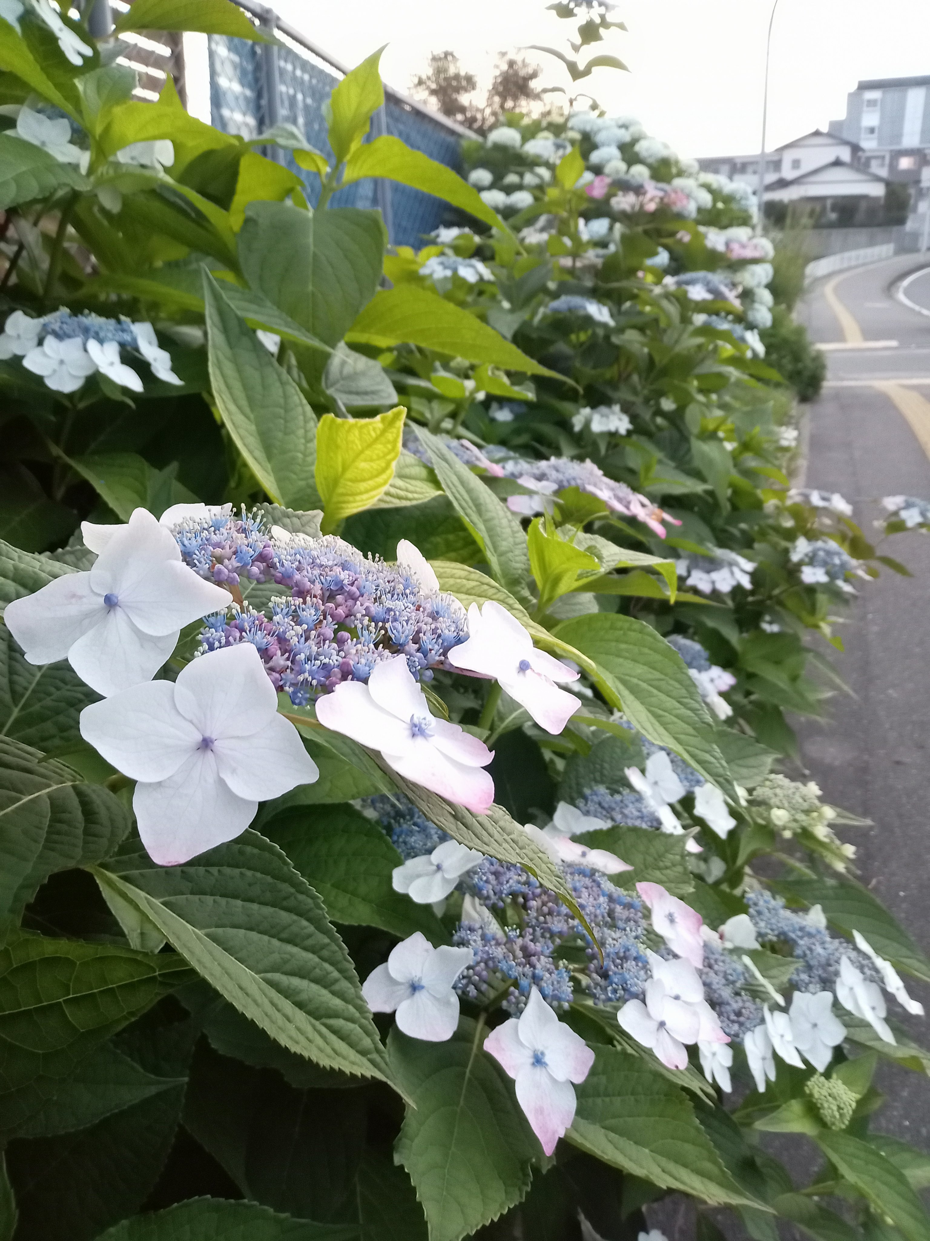 ヒヨコ堂なかばる整骨院｜ホットペッパービューティー